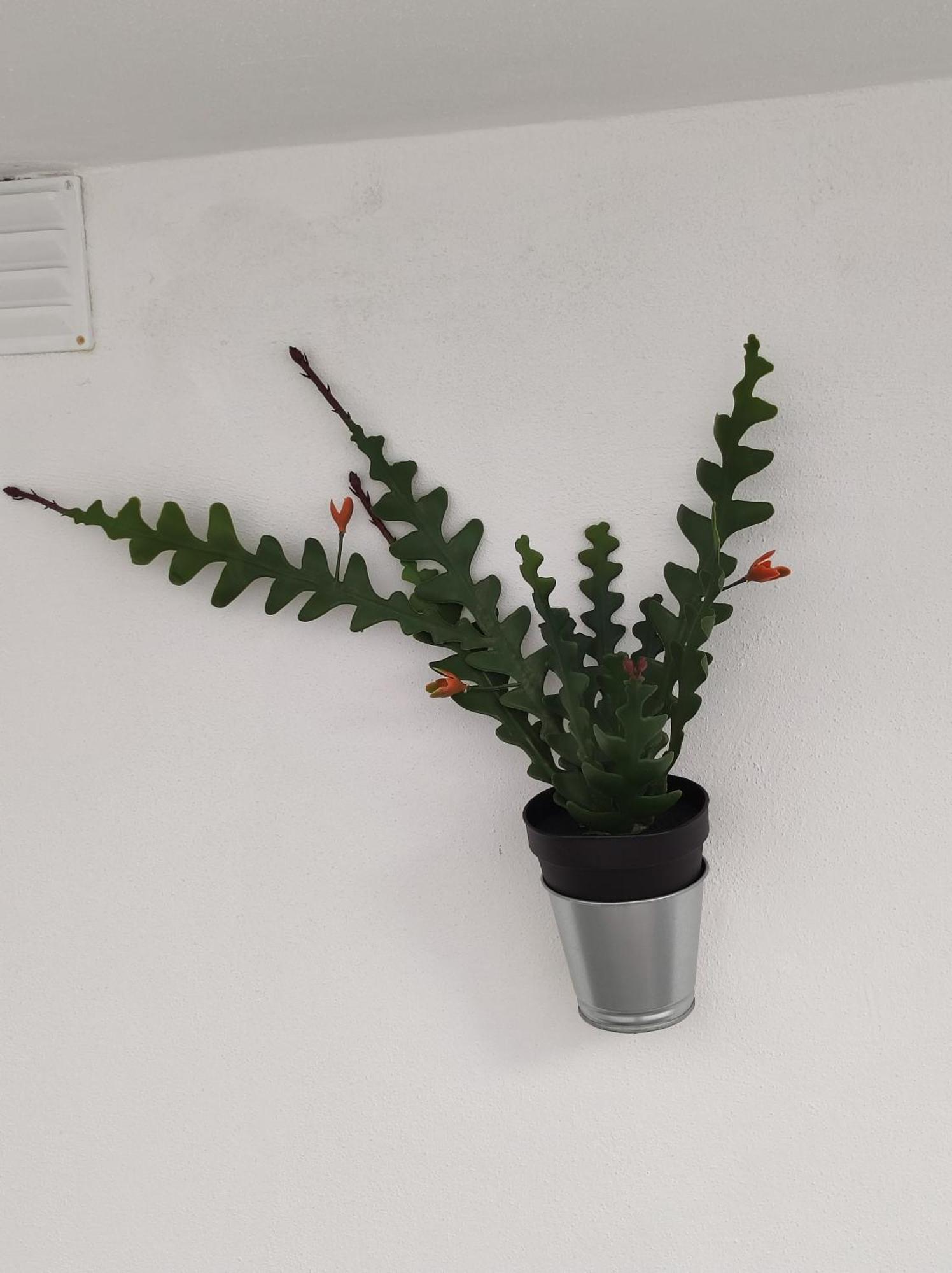 Divine Room 파로 외부 사진